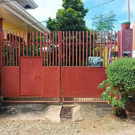 Peace Lily Studio Apartments Panglao Bagian luar foto