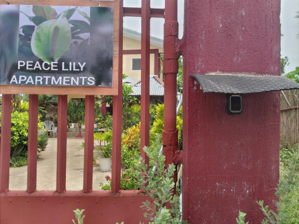 Peace Lily Studio Apartments Panglao Bagian luar foto