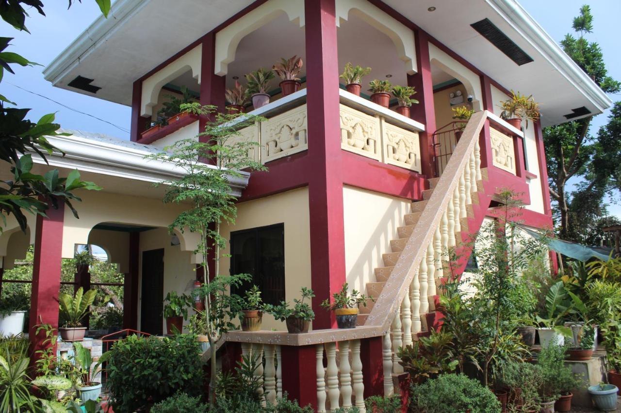 Peace Lily Studio Apartments Panglao Bagian luar foto