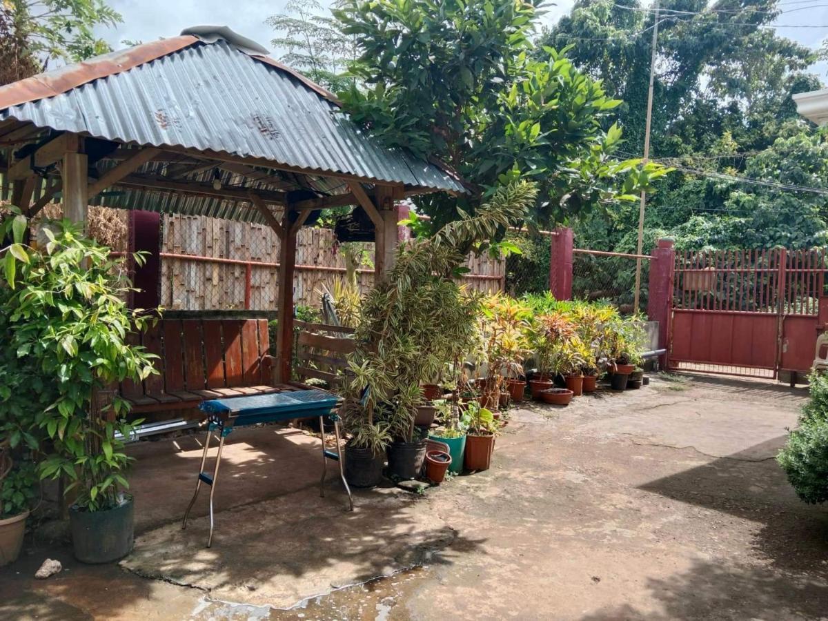 Peace Lily Studio Apartments Panglao Bagian luar foto