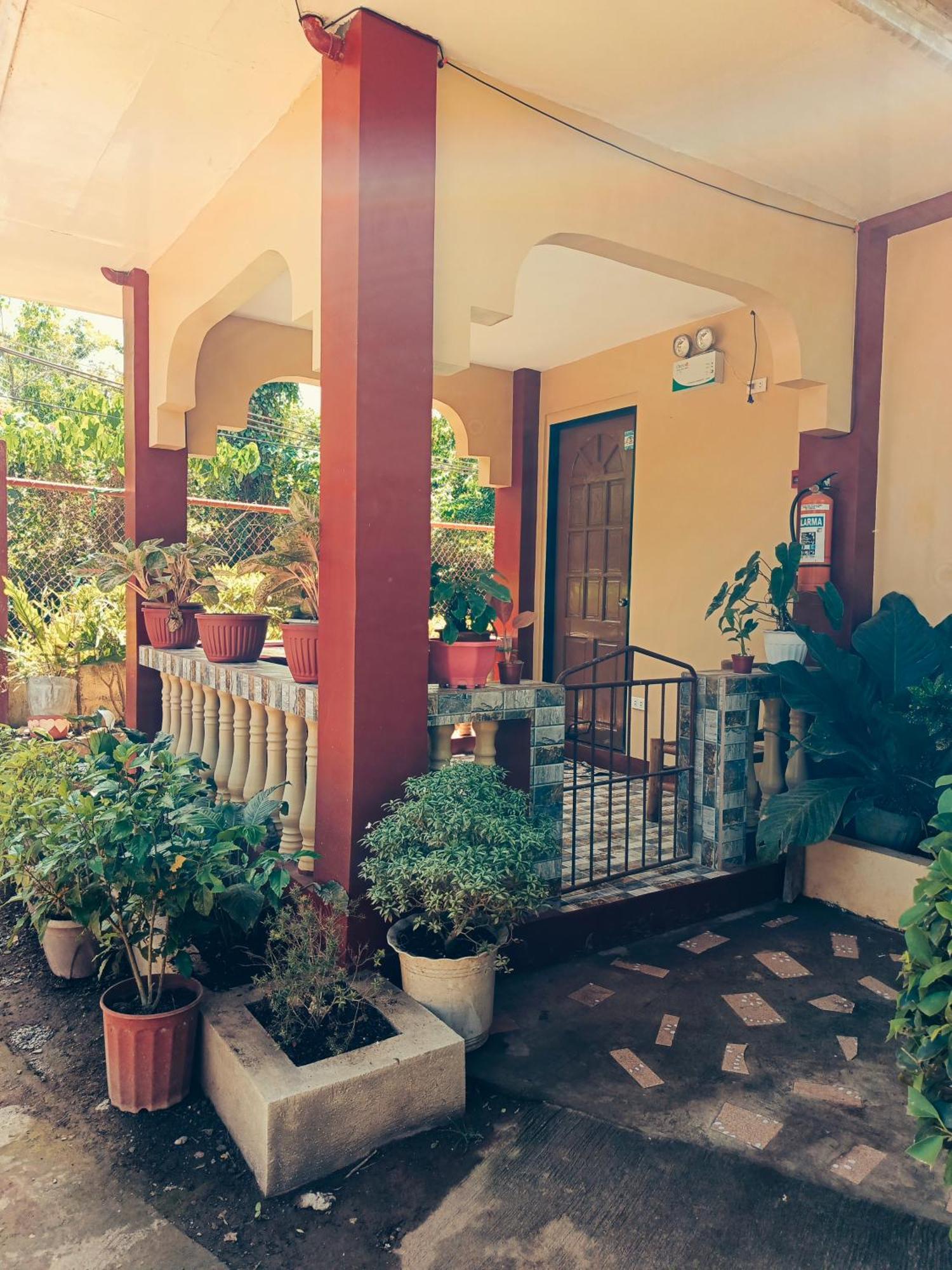Peace Lily Studio Apartments Panglao Bagian luar foto