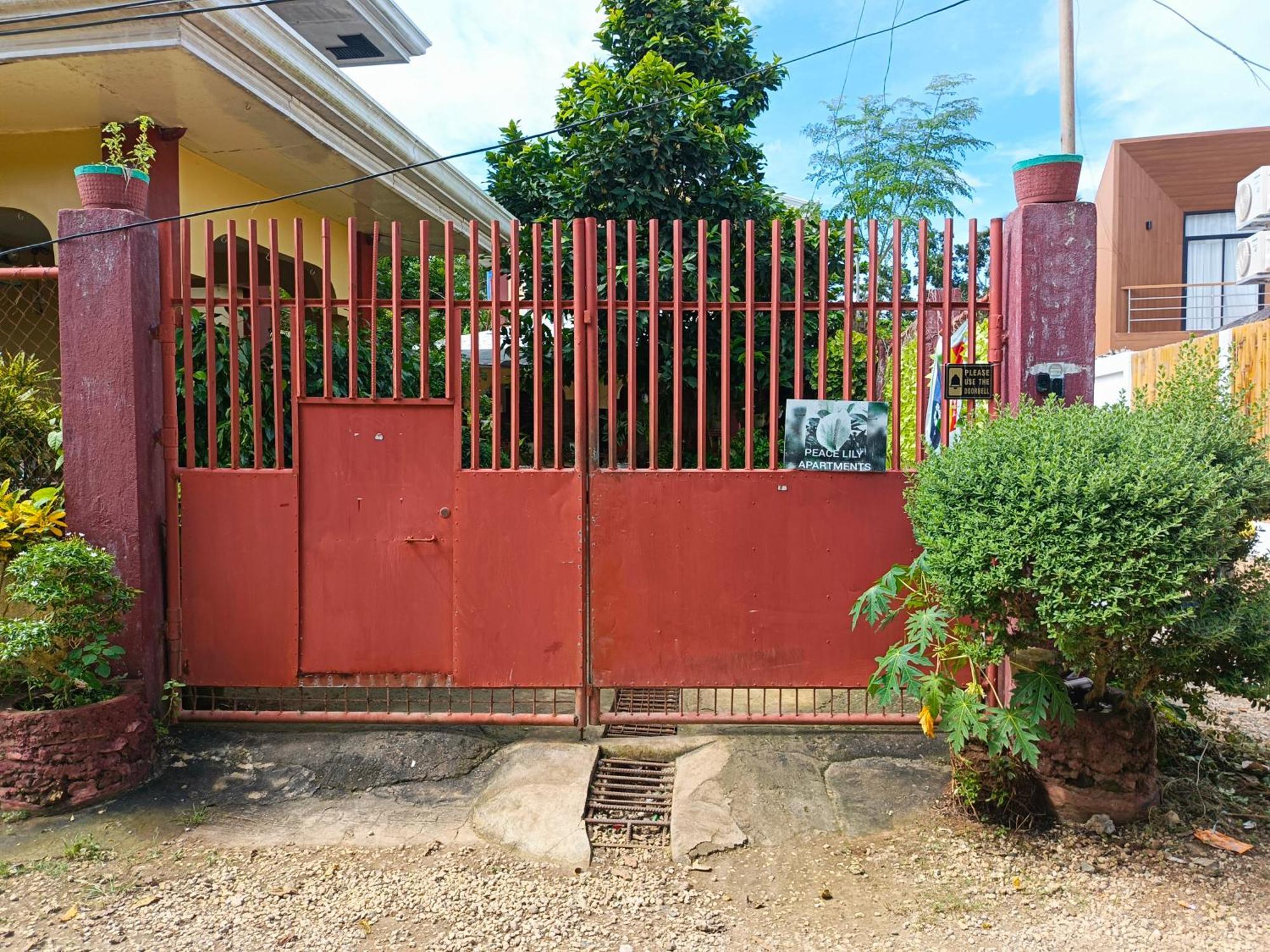 Peace Lily Studio Apartments Panglao Bagian luar foto