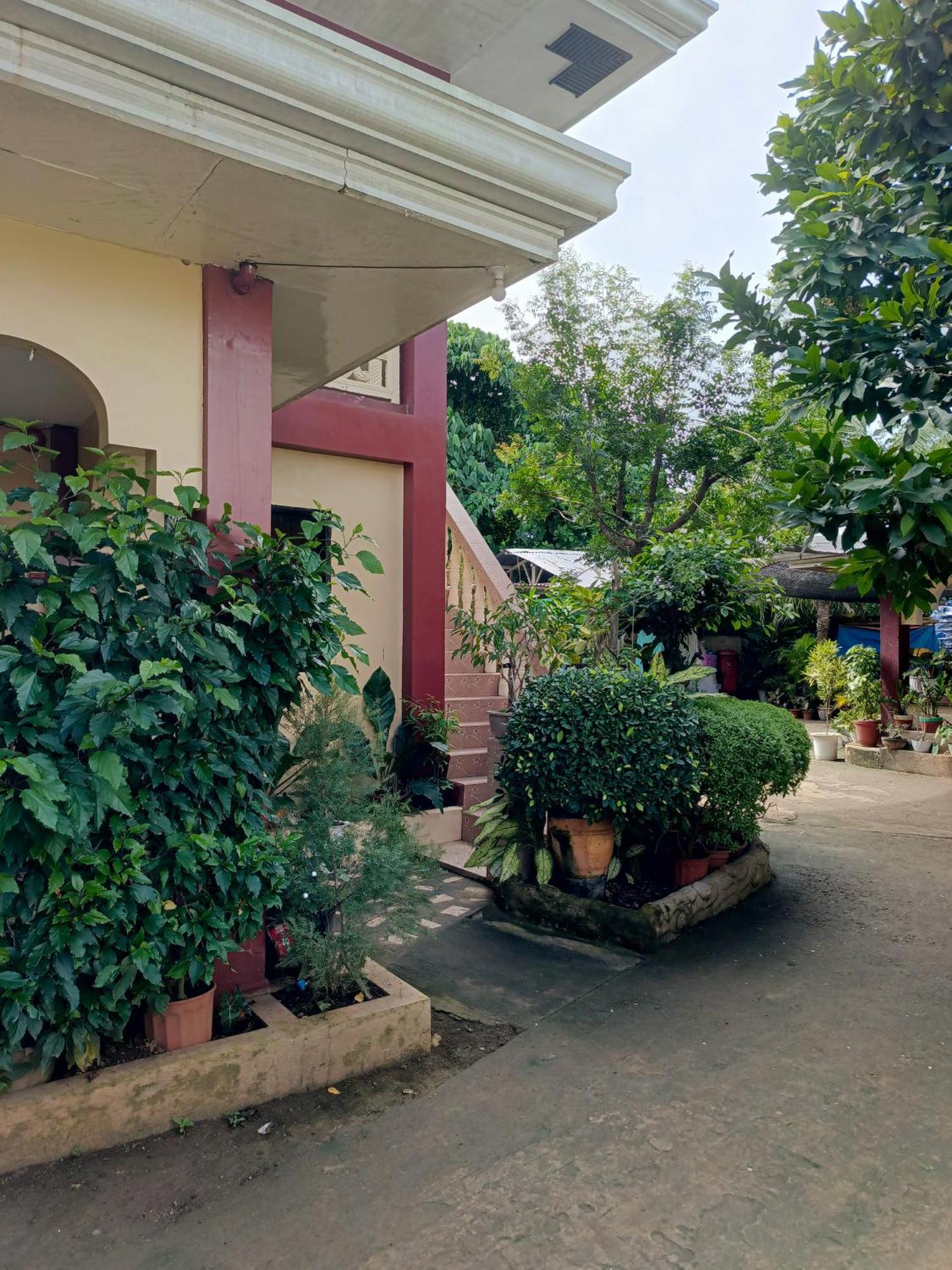Peace Lily Studio Apartments Panglao Bagian luar foto