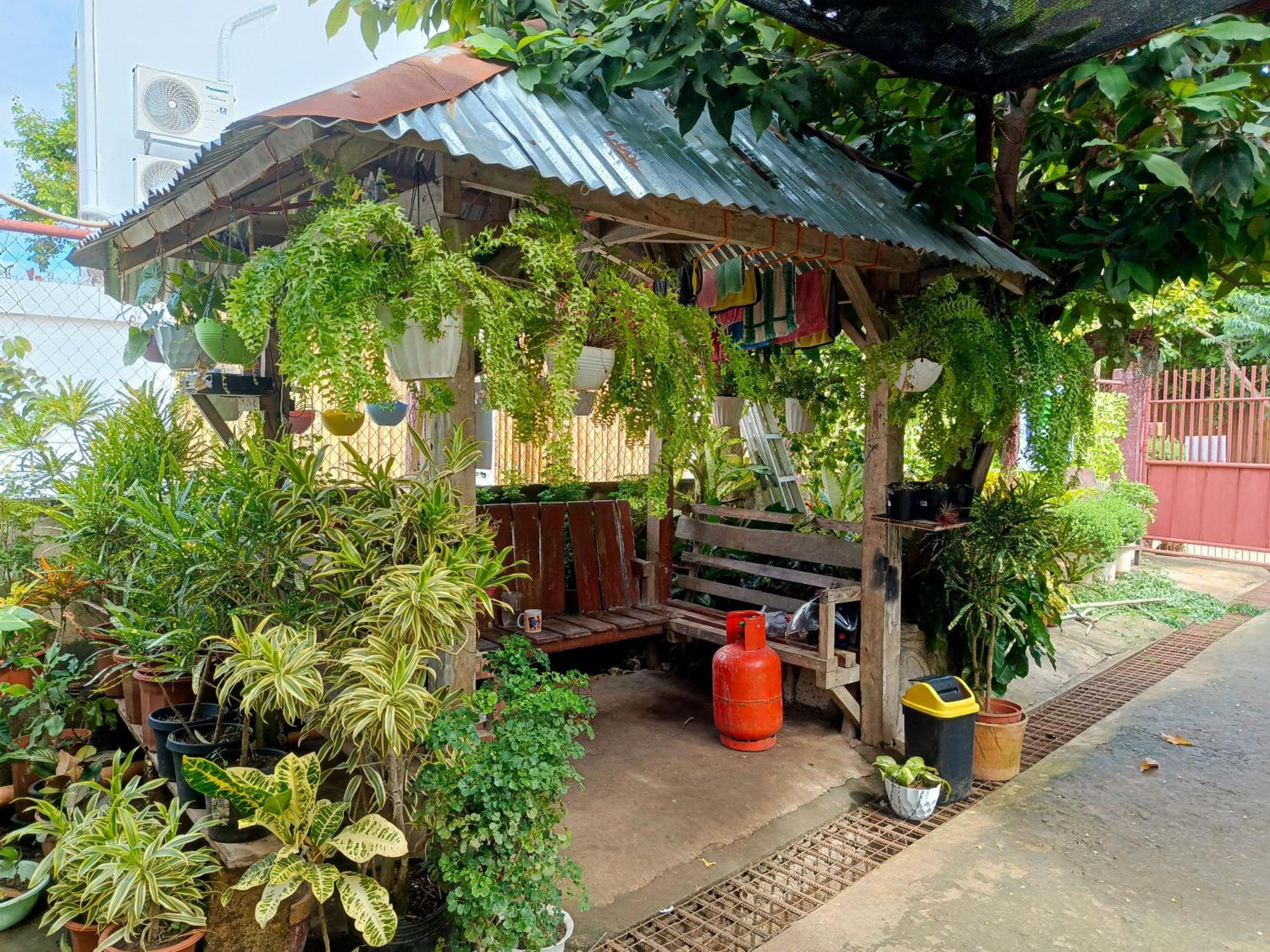 Peace Lily Studio Apartments Panglao Bagian luar foto